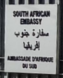 Afrique du sud a alger 1