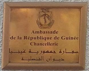 Guinee a alger