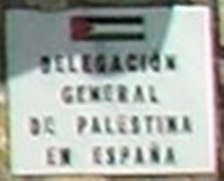 Palestine dg madrid