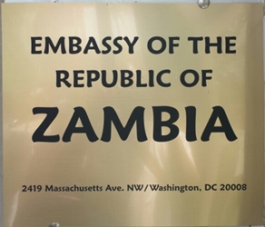 Zambie a washington 1